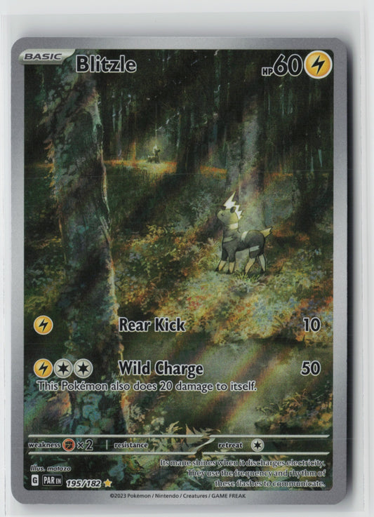Blitzle - 195/182 – SV04: Paradox Rift Pokémon Card NM