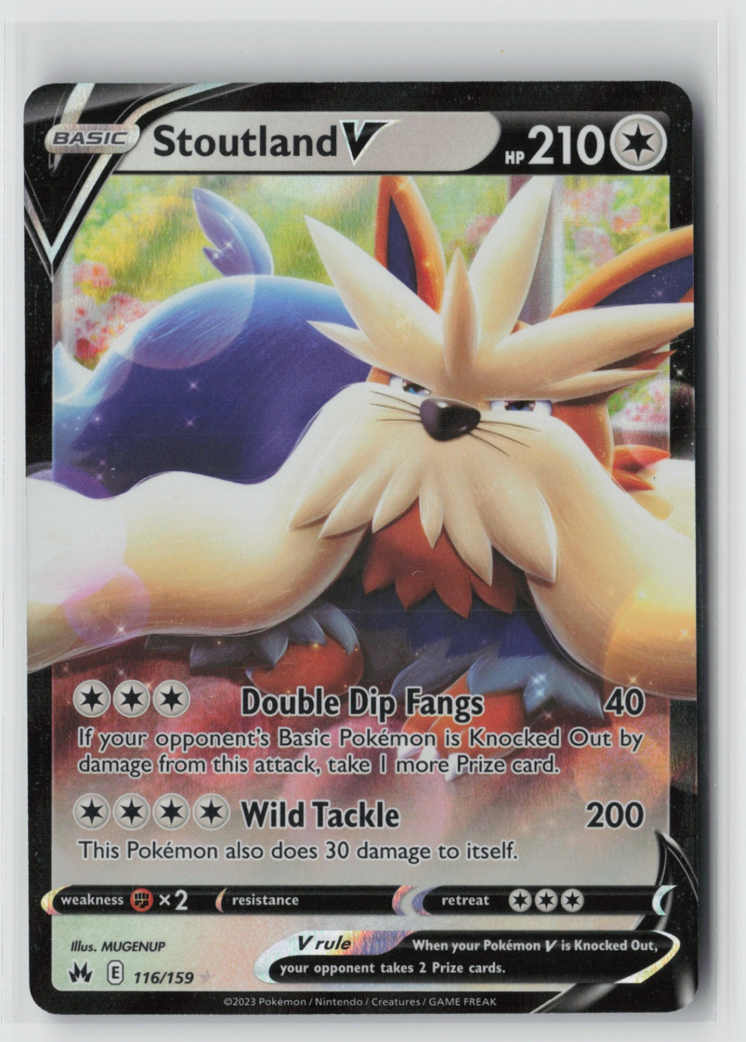 Stoutland V 116/159 – Crown Zenith Pokémon Card NM