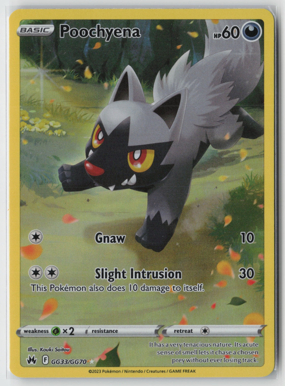 Poochyena GG33/GG70 – Crown Zenith: Galarian Gallery Pokémon Card NM