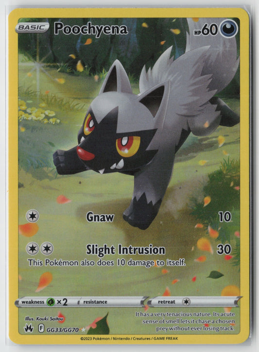 Poochyena GG33/GG70 – Crown Zenith: Galarian Gallery Pokémon Card NM